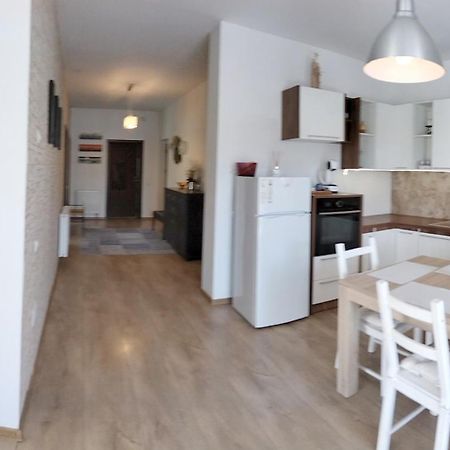 Apartament De Lux Cu Terasa Appartamento Timisoara Esterno foto